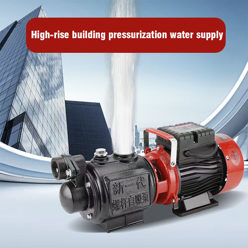 Nepal Hot Selling Domestic Irrigation Pump ZGD1100 1.5Hp Self-Priming Spiral Water Pump