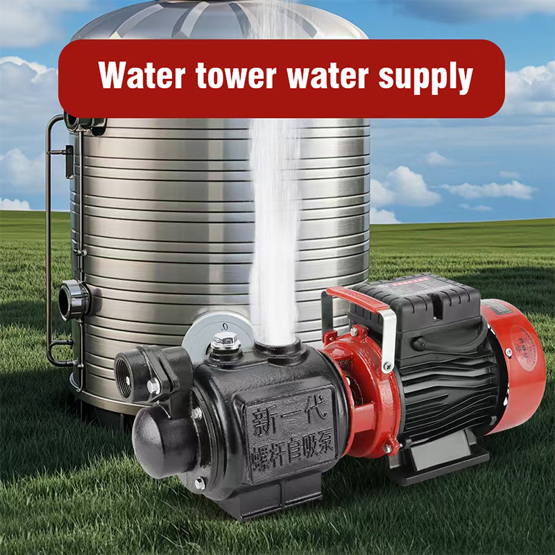 Nepal Hot Selling Domestic Irrigation Pump ZGD1100 1.5Hp Self-Priming Spiral Water Pump