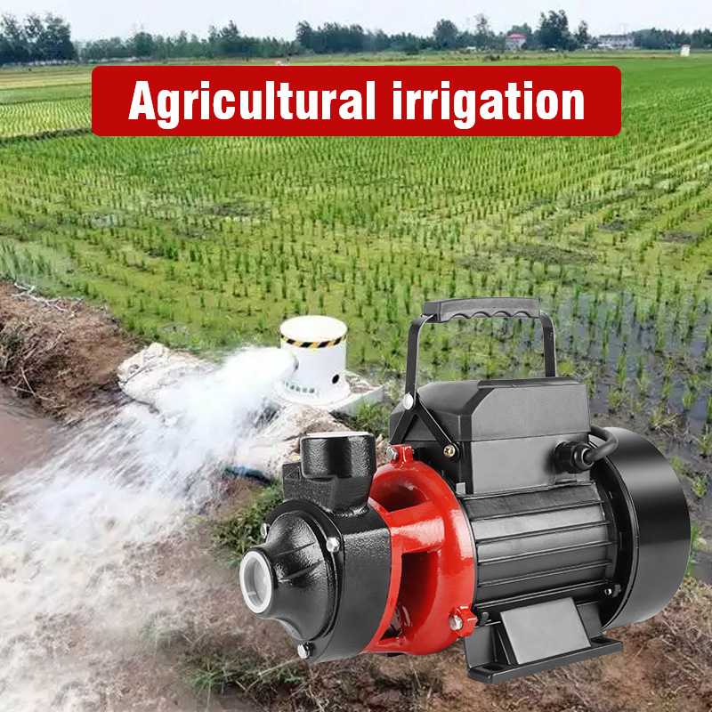 CHIMP QB 60 70 80 Series 1Hp Surface Vortex Water Pump Centrifugal Booster Irrigation Vortex Pump