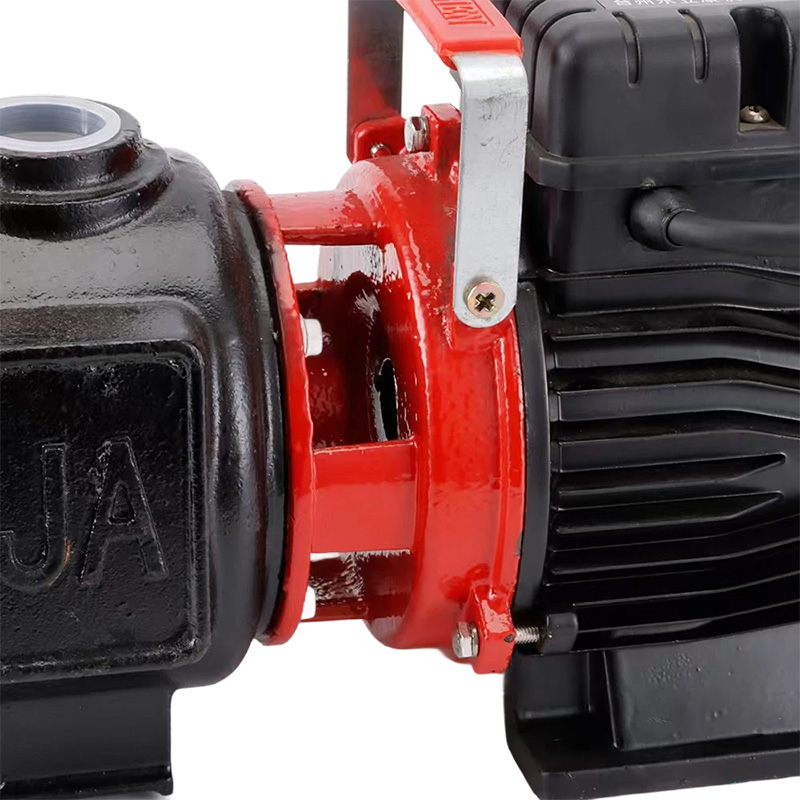 Nepal Hot Selling Domestic Irrigation Pump ZGD1100 1.5Hp Self-Priming Spiral Water Pump